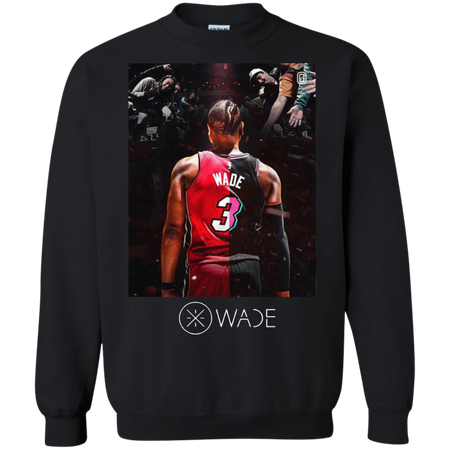 Dwyane Wade Last Dance T-Shirt